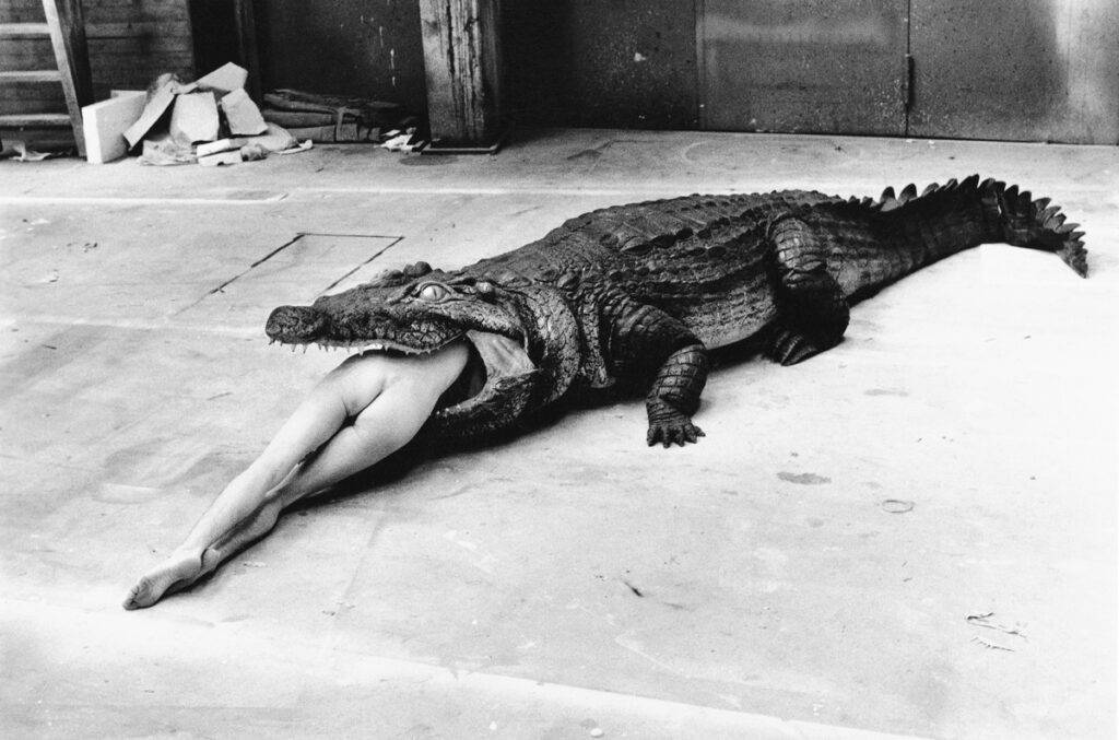 Helmut Newton