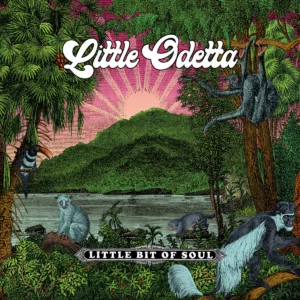 Little Odetta Little Bit of Soul