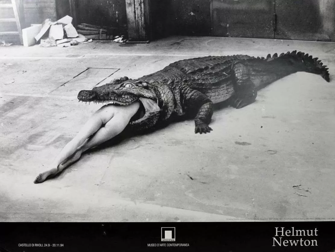 Femme nu  comment le corps féminin a façonné l’imagerie rock et la pop culture