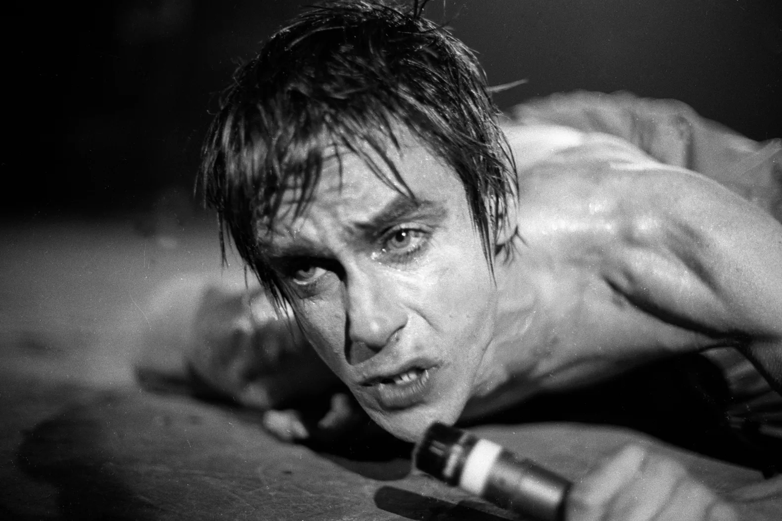 Iggy Pop : L’odyssée sauvage du parrain du punk 2 Iggy Pop