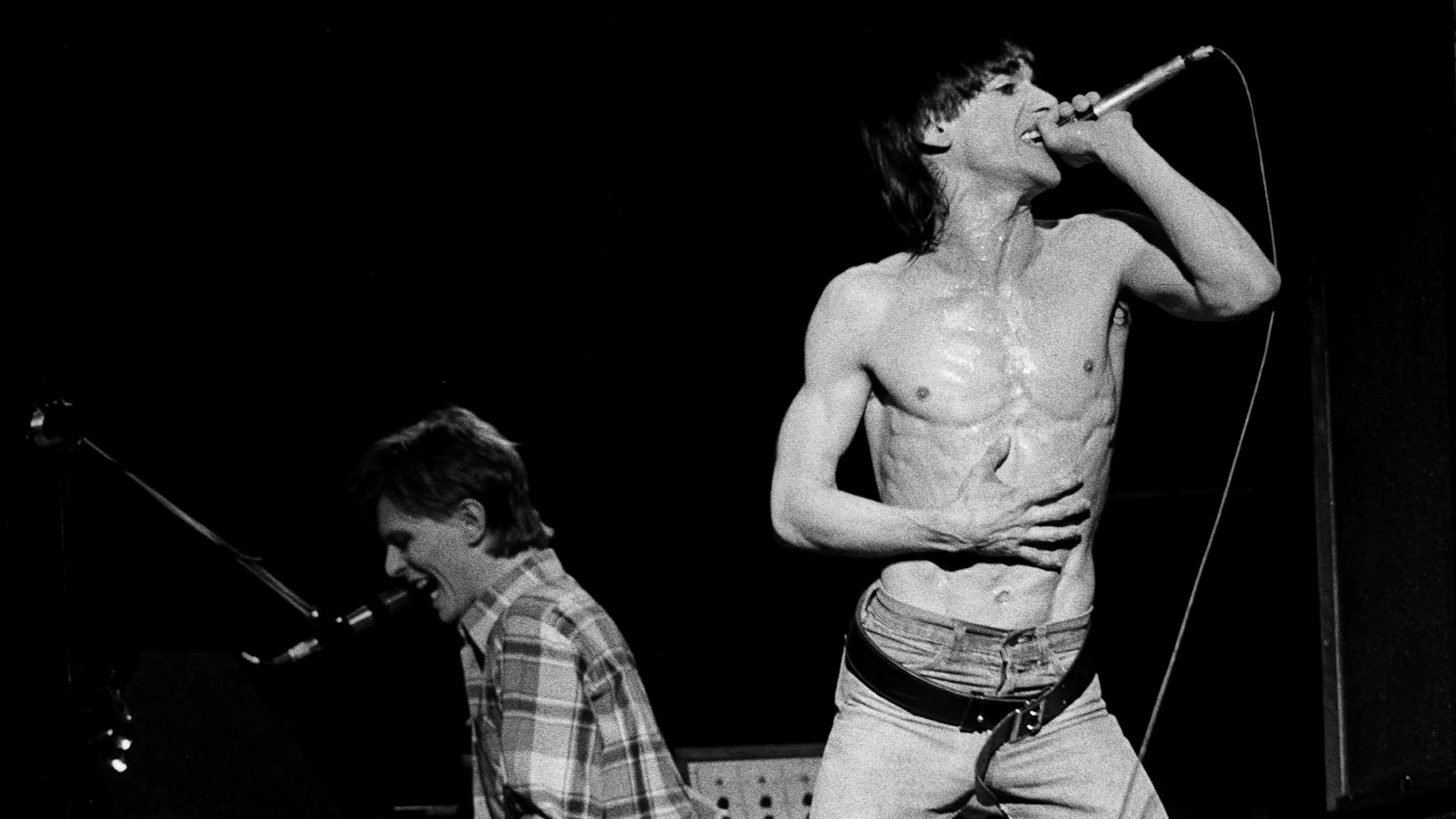 Iggy Pop : L’odyssée sauvage du parrain du punk 1 Iggy Pop