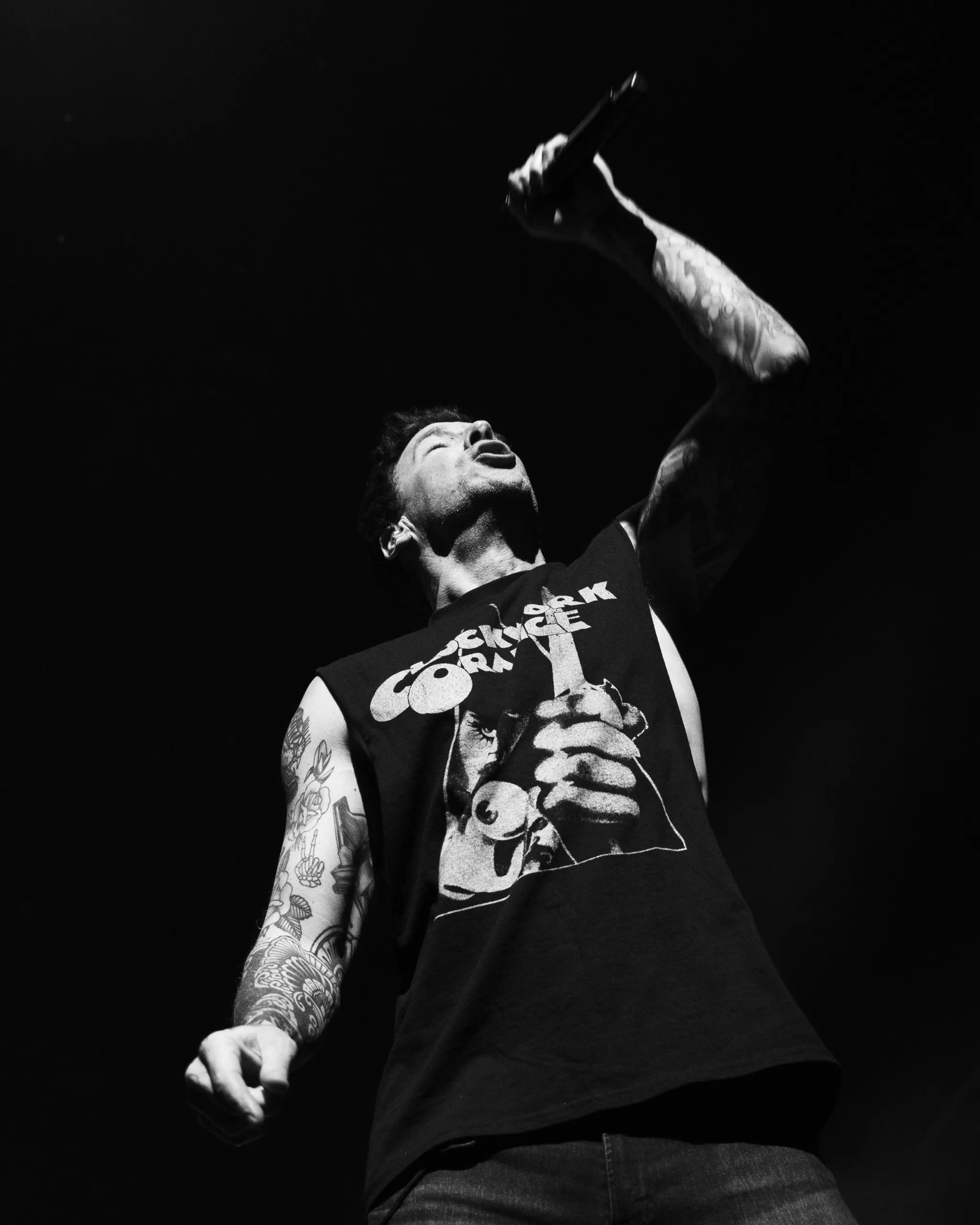 The Offspring embrase Paris : retour sur une soirée historique 13 simpleplan 4 scaled