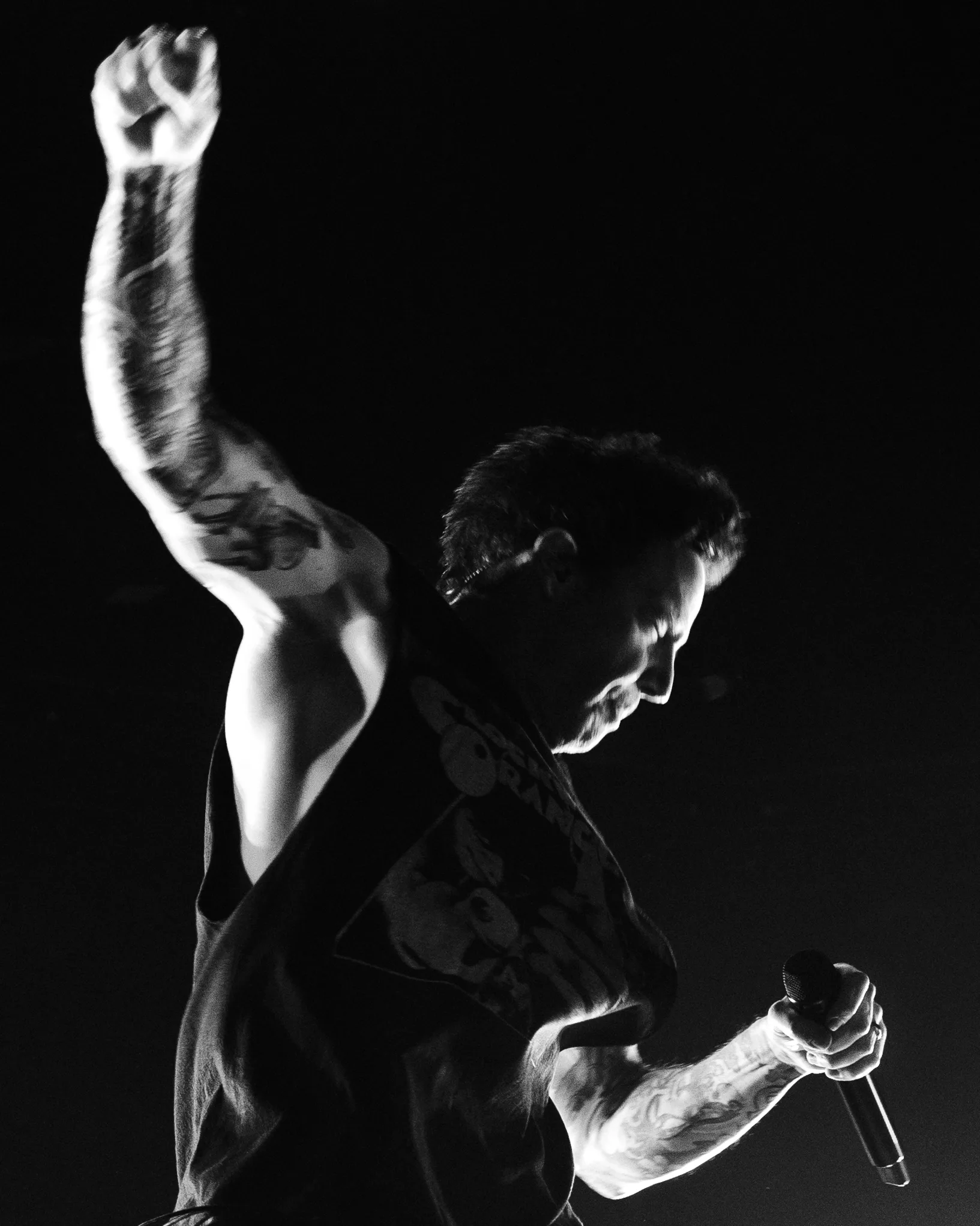 The Offspring embrase Paris : retour sur une soirée historique 11 simpleplan