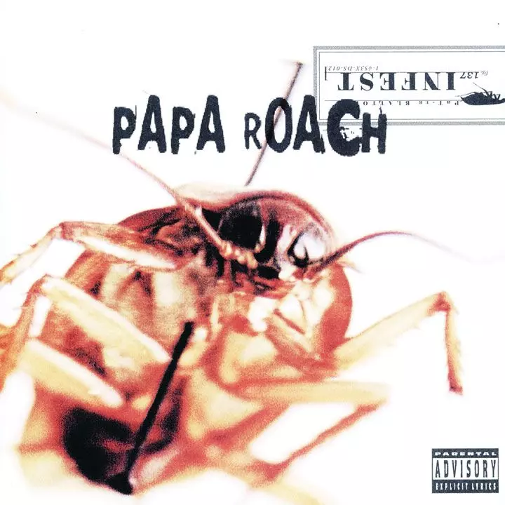 Top 20 des albums nu metal à avoir en vinyle (le classement sans pitié) 7 Top 20 des albums nu metal 2 1