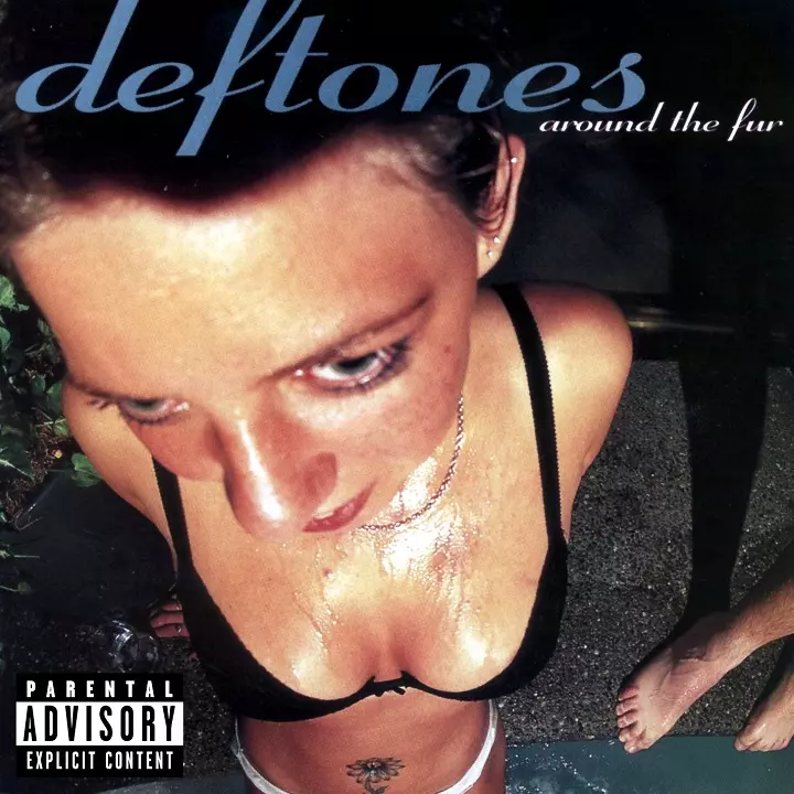 Top 20 des albums nu metal à avoir en vinyle (le classement sans pitié) 11 Top 20 des albums nu metal