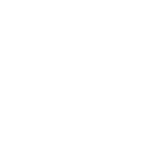 Logo Ecaussystème