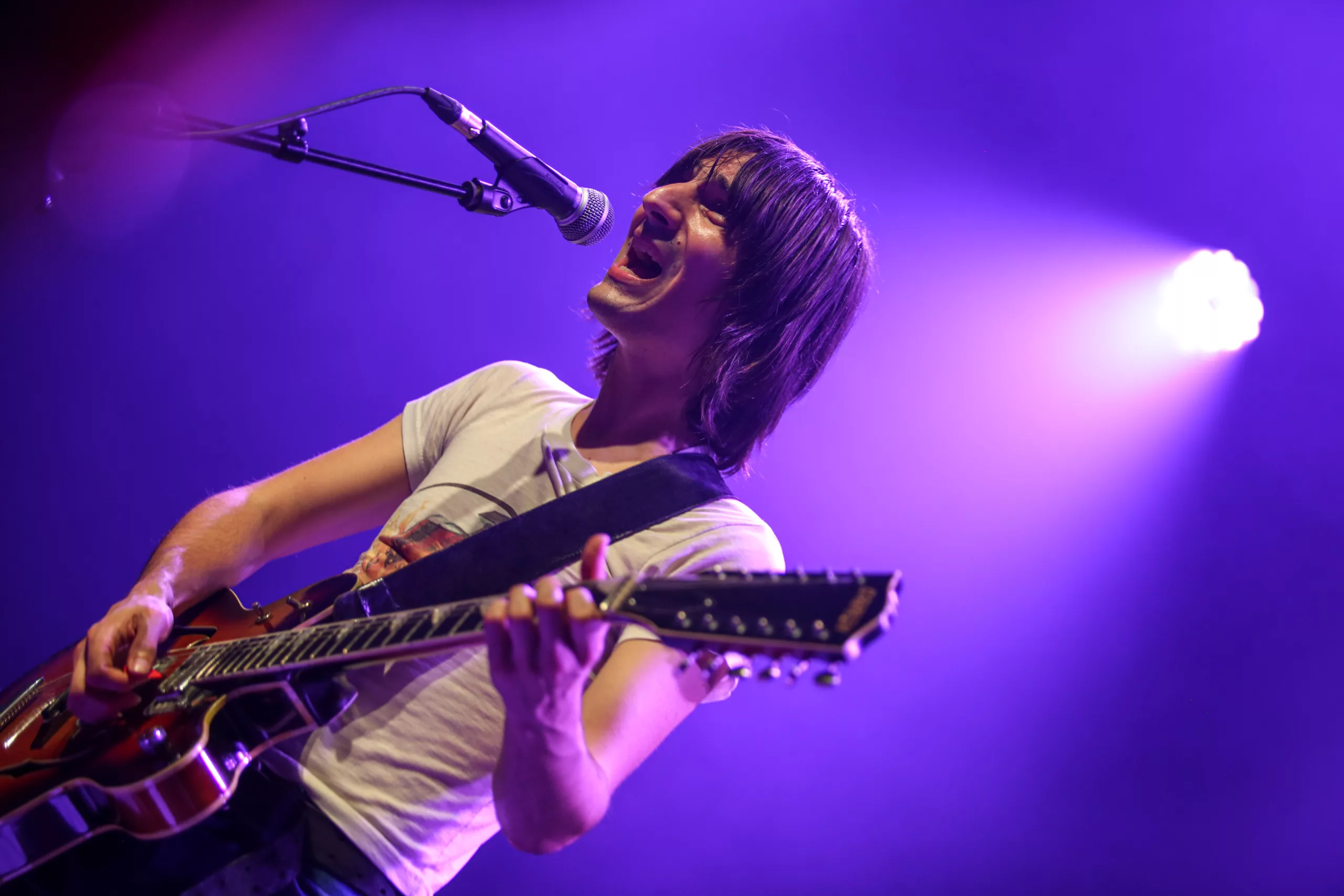The Lemon Twigs 114 scaled