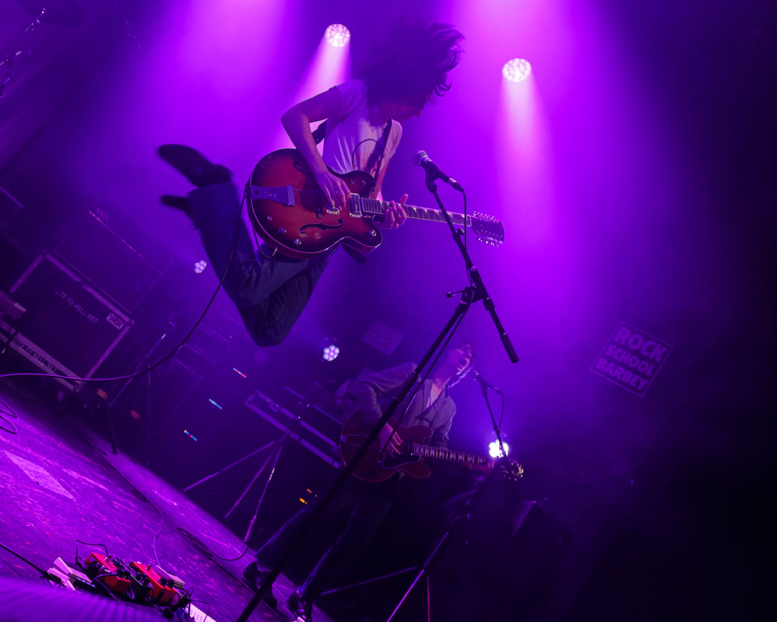 The Lemon Twigs 31 scaled