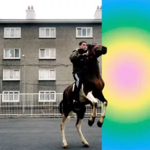 1203154 soft spot 221154