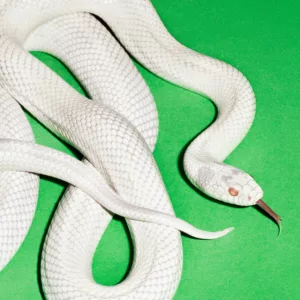 R 34886198 1755833061 5319