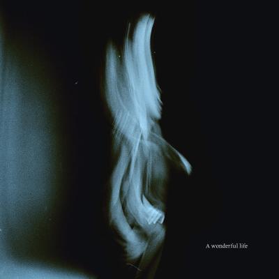 A WONDERFUL LIFE