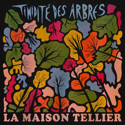 TIMIDITE DES ARBRES